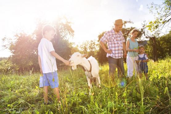 Urlaub auf dem Bauernhof